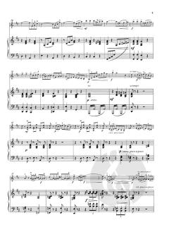 Concertino Nr. 6 D-Dur op. 43 von Leo Portnoff 