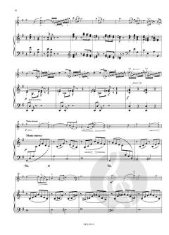 Concertino Nr. 7 G-Dur op. 44 von Leo Portnoff 