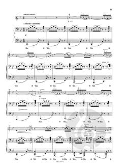 Concertino Nr.8 d-moll op. 45 von Leo Portnoff 