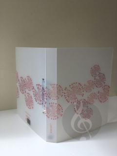 Hard folder Hidden Music, rot  