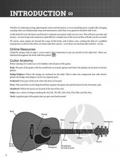 Do-It-Yourself Guitar Setup & Maintenance 