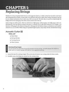 Do-It-Yourself Guitar Setup & Maintenance 
