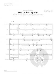 Des Zaubers Spuren von David Phillip Hefti 