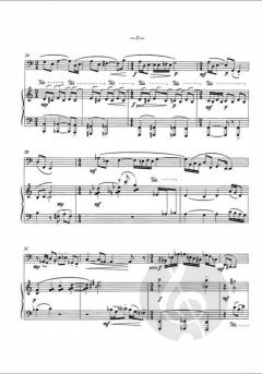 Concerto für Tuba und Orchester im Alle Noten Shop kaufen