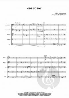 Ode an die Freude von Ludwig van Beethoven 