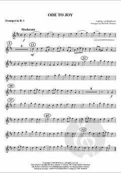 Ode an die Freude von Ludwig van Beethoven 