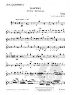 Bosanmak op. 29a von Fazil Say 
