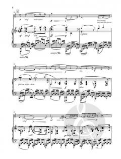 Tristan und Isolde von Richard Wagner 