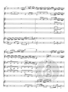 Konzert a-Moll BWV 1044 