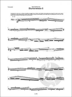 Blumenwiese 6 von Georg Friedrich Haas 