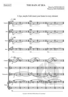 The Rain at Sea von Peter Bruun 