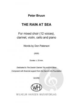 The Rain at Sea von Peter Bruun 