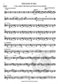 The Rain at Sea von Peter Bruun 