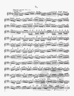 24 Etüden Op. 15 von Joachim Andersen 