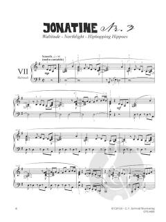 Jonatinen Nr. 3 & 4 Band 2 von Nils Mille 