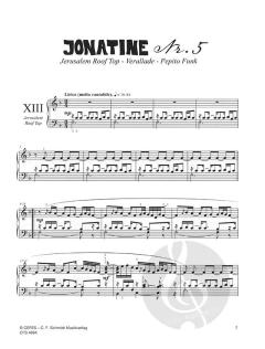 Jonatinen Nr. 5 & 6 Band 3 von Nils Mille 