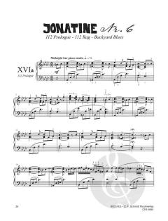 Jonatinen Nr. 5 & 6 Band 3 von Nils Mille 