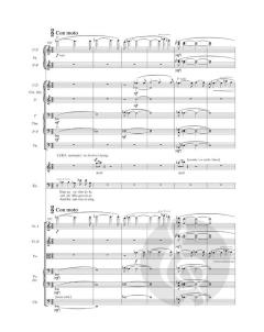 Aus einem Totenhaus von Leo Eugen Janáček 