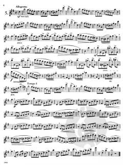 The Progress in Flute Playing Op. 33 Vol. 1 von Ernesto Köhler 