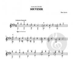 Souvenir von Bart Aerts 