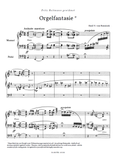Orgelfantasie e-Moll von Emil Nikolaus von Reznicek im Alle Noten Shop kaufen