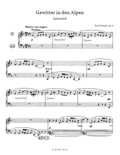 Gewitter in den Alpen op.6 von Karl Kämpf 