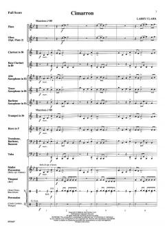 Cimarron von Larry Clark 