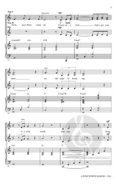 A Wish Worth Making von Benjamin Rice 