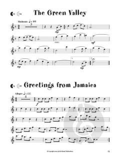 Pop & Folk for Flute von Jos van den Dungen 