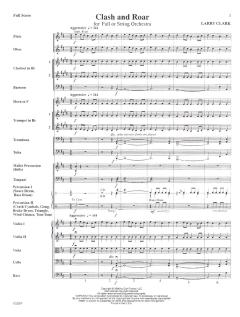 Clash and Roar von Larry Clark 