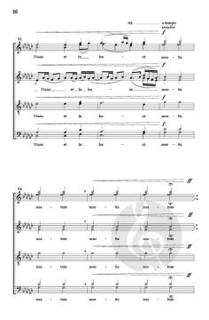 Ave Maria von Michał Ziółkowski 