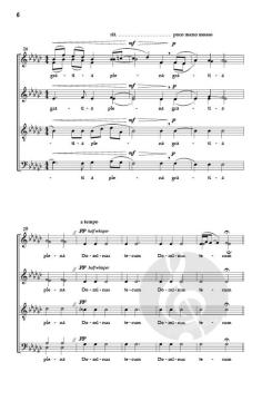 Ave Maria von Michał Ziółkowski 