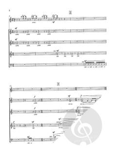 Night song in the jungle (Download) 