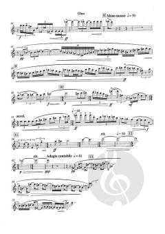 Night song in the jungle (Download) 