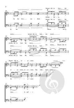 By the lone seashore (Download) 