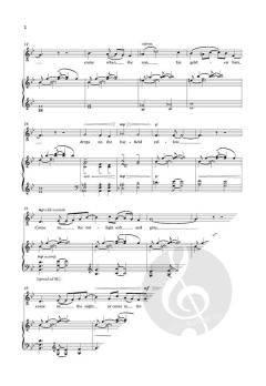 Invitation to love von Toby Young 