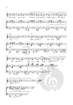 Not too fast, not too slow (Download) 