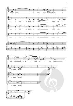 Silence and Music (Download) 