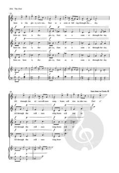 The Owl von Toby Young 