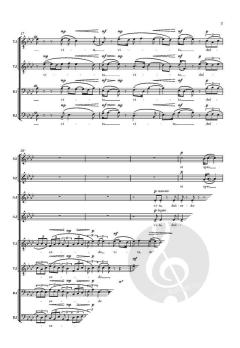 Salve Regina 2 (Download) 