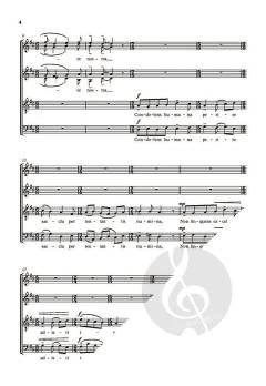 Salus aeterna (Download) 