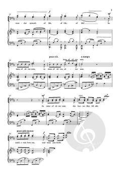 In time of silver rain (Download) 