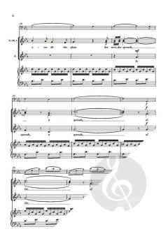 Silver Rain von B. E. Boykin (Download) 