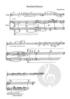 Persistent Memory von Michael Berkeley 