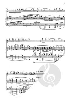 Persistent Memory von Michael Berkeley 