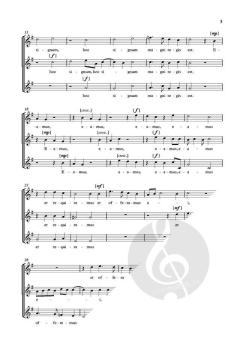 Magi videntes stellam (Download) 