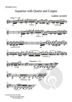 Aquarius with Quartz and Copper (Download) 