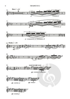 Aquarius with Quartz and Copper (Download) 