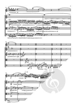 Oboe Quintet 'Into the ravine' (Download) 