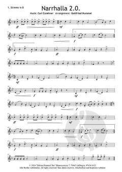 Narrhalla 2.0. von Carl Zulehner 